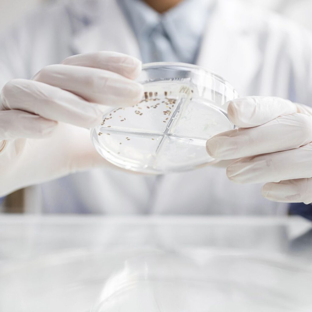 Researcher With Petri Dish Biotechnology Laboratory