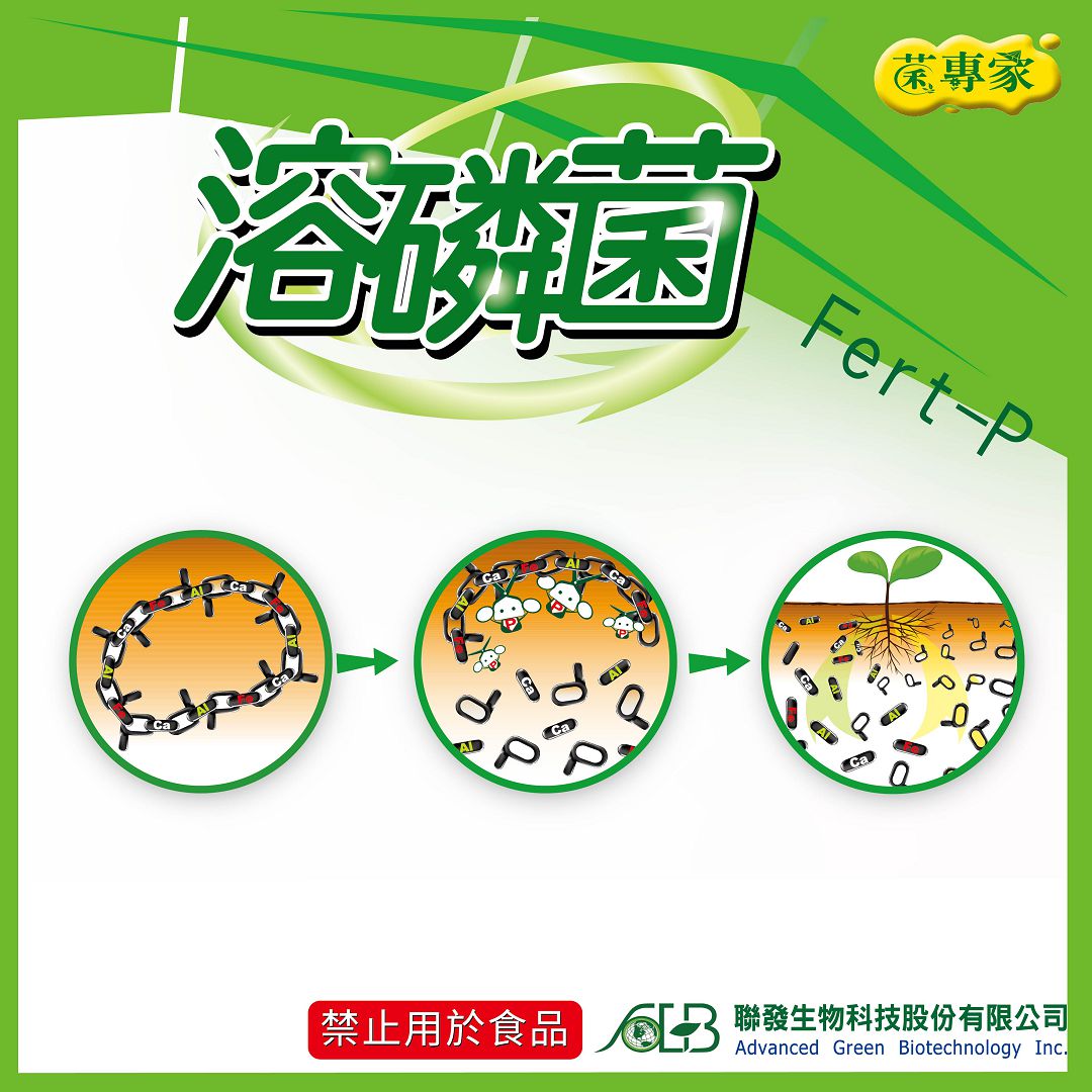 網站產品主圖 11